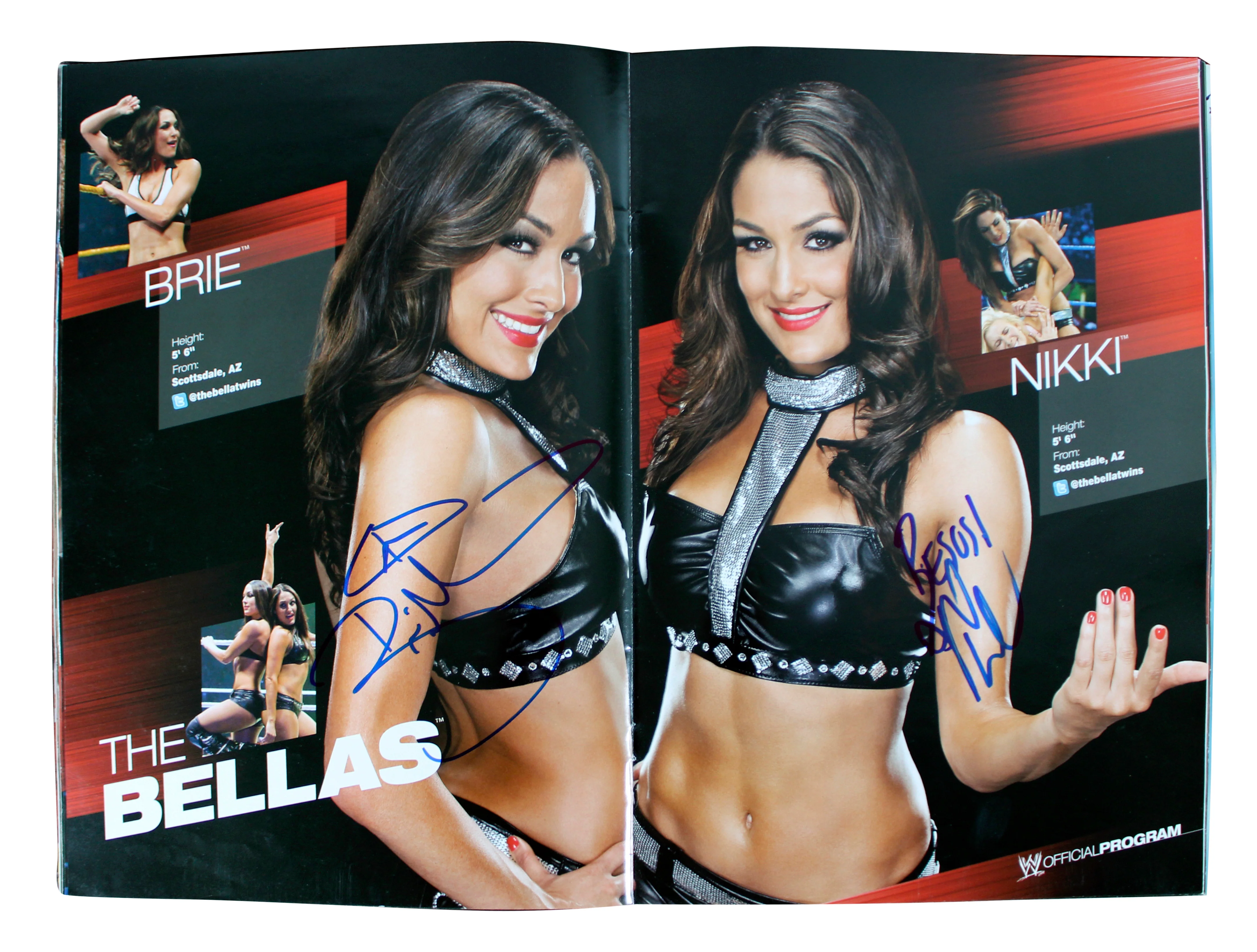 WWE Superstars (54) Rhodes, Kane, Sheamus, Mysterio Signed Official Program BAS - Image 7
