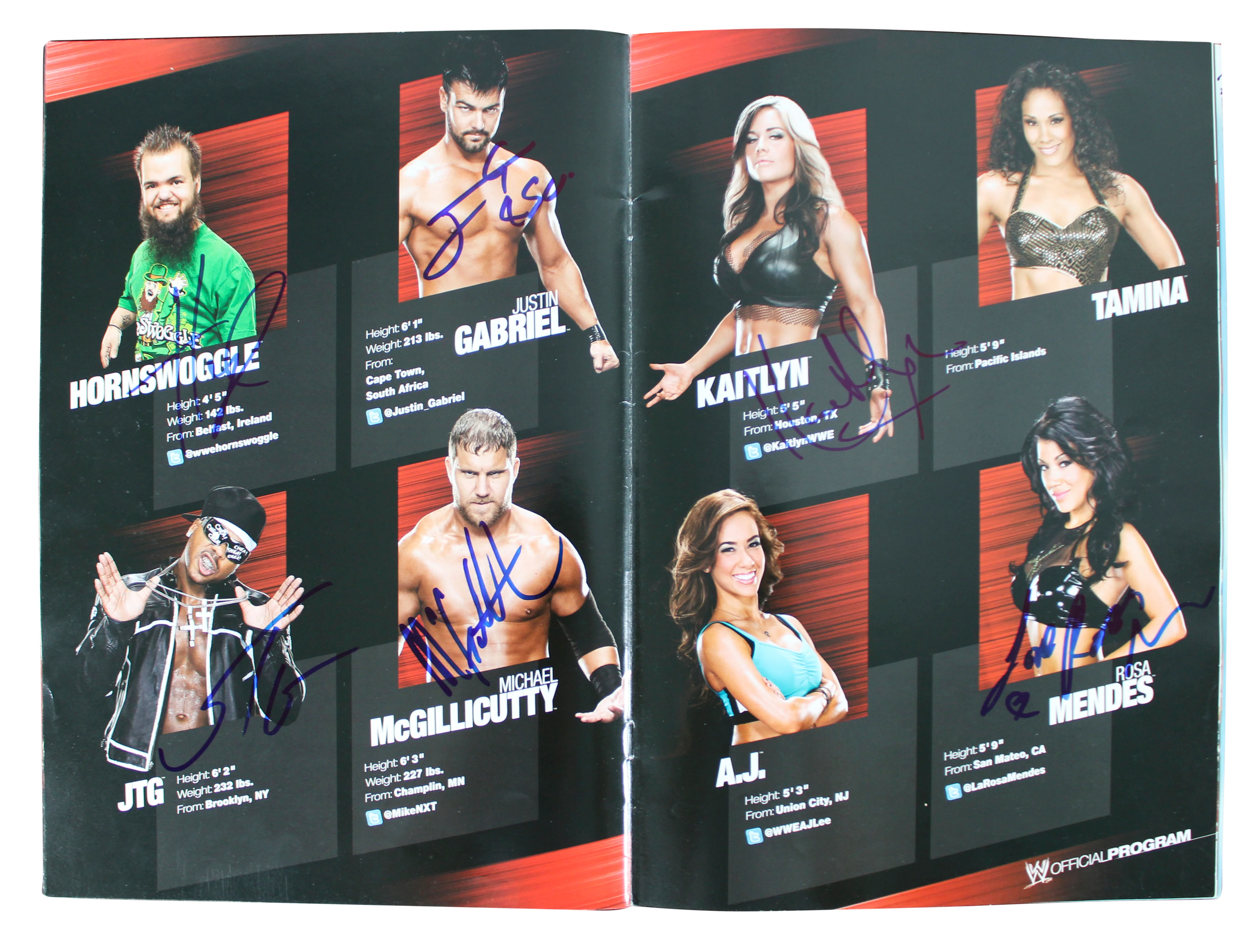 WWE Superstars (54) Rhodes, Kane, Sheamus, Mysterio Signed Official Program BAS - Image 8
