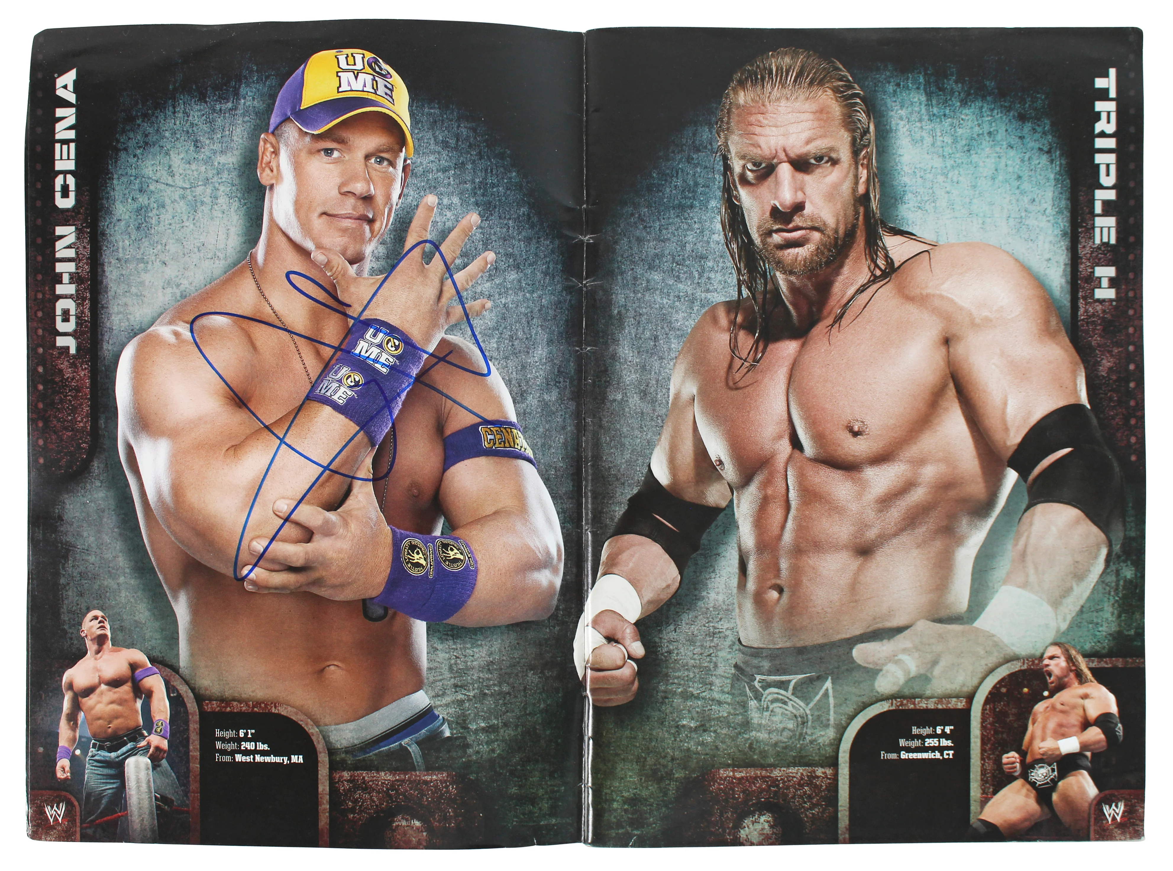 WWE Superstars (64) Cena, Edge, Sheamus, Mysterio, Signed 2010 WWE Program BAS - Image 3