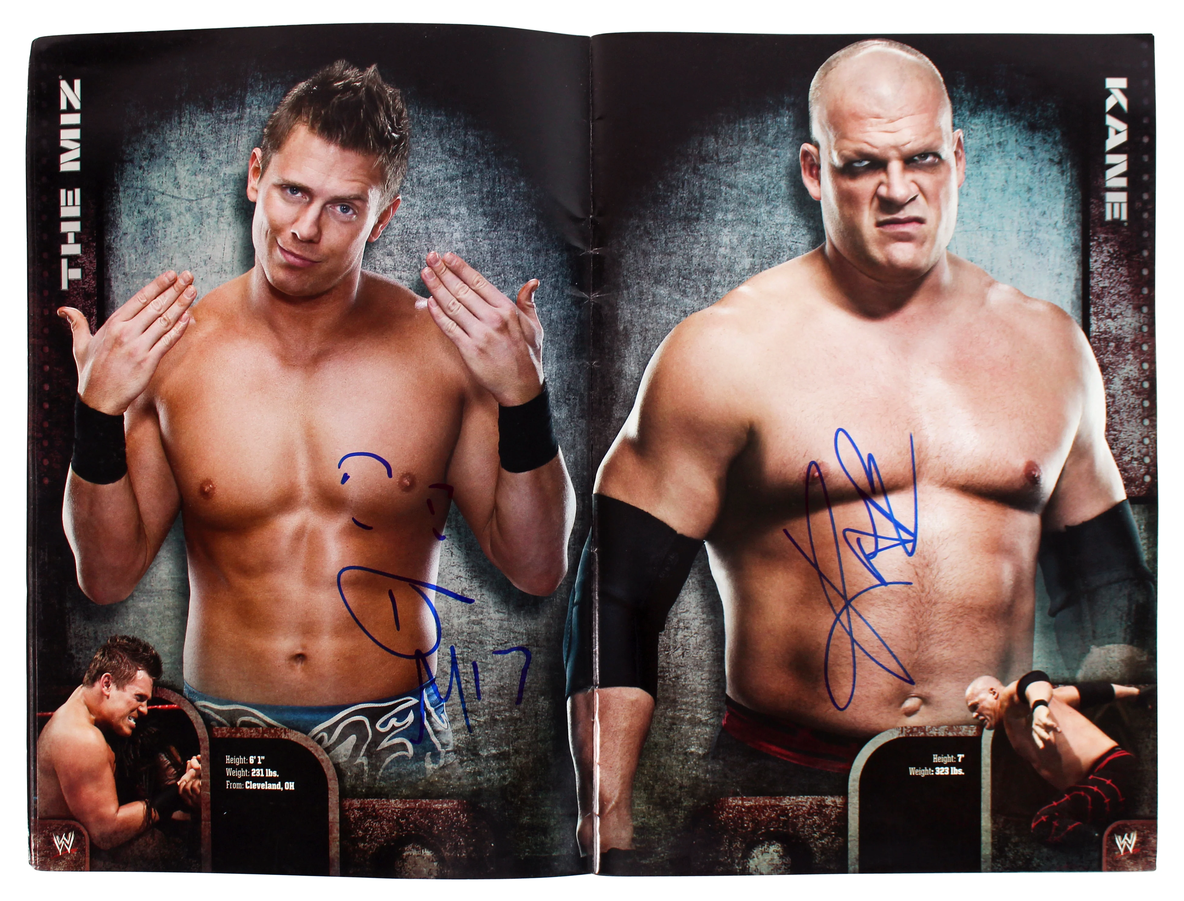 WWE Superstars (64) Cena, Edge, Sheamus, Mysterio, Signed 2010 WWE Program BAS - Image 7